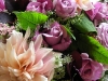 dscn0792