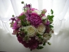 dscn0412