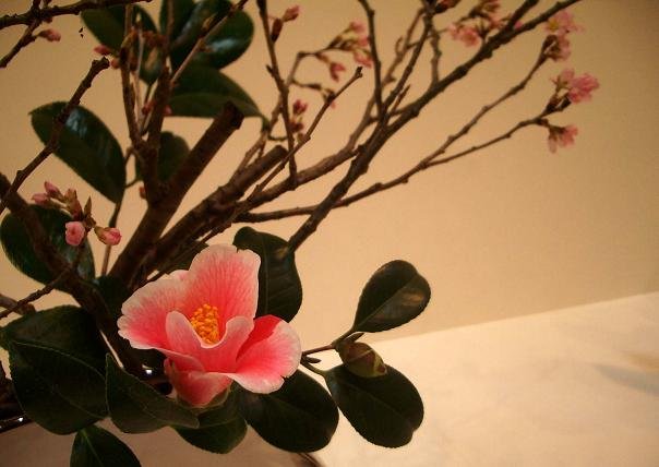 ikebana paris
