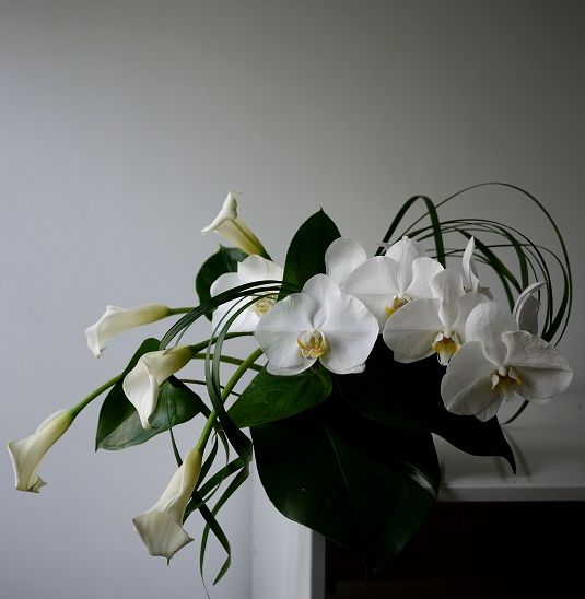 calla, orchidée, 