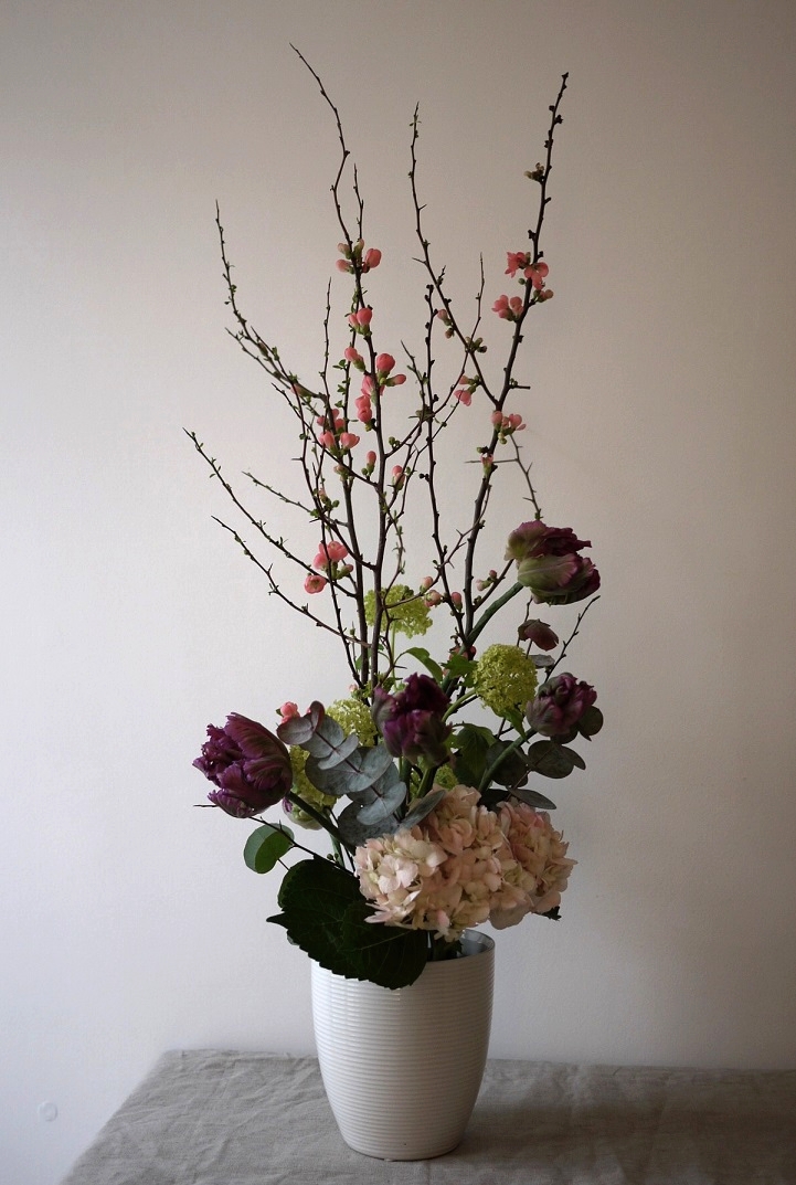 cognassier du japon, tulipe, viburnum, hortensia, 