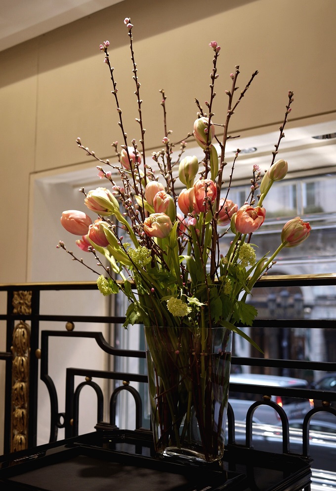 tulipe, viburnum, fleurs de pecher, 