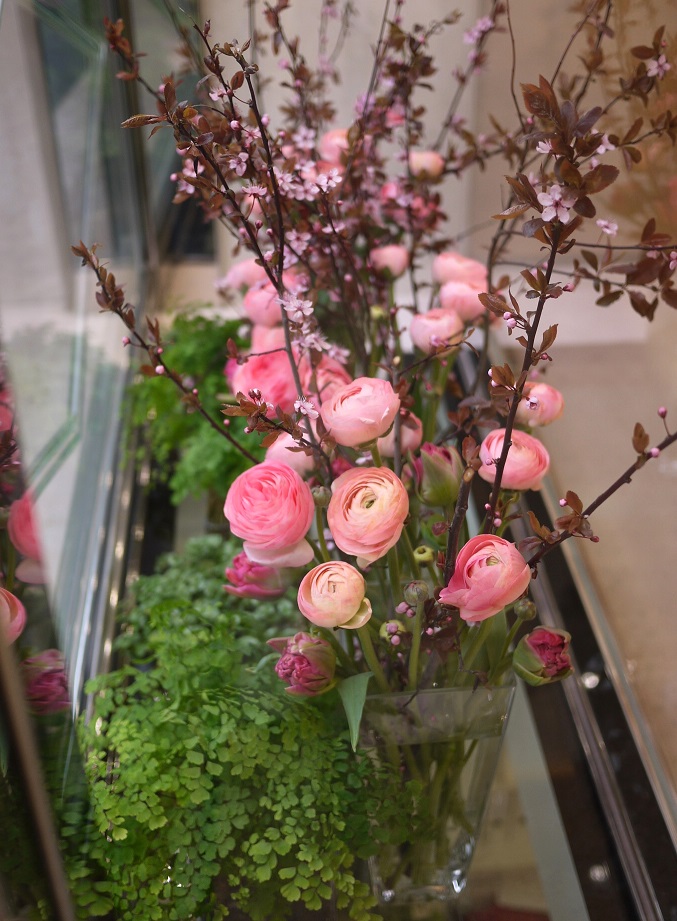 prunus, renoncule, tulipe, 