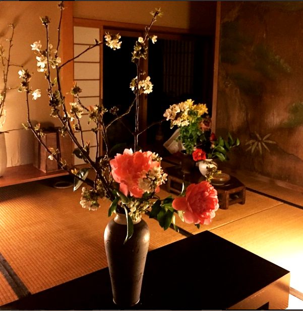 cerisier, pivoine, camélia,