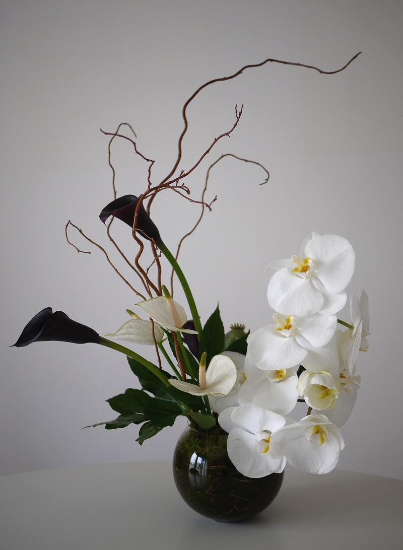 orchidée, calla, anturium, pavot, 