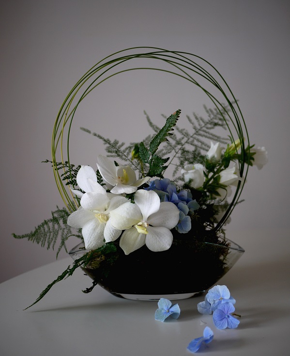 orchidée, hortensia, 