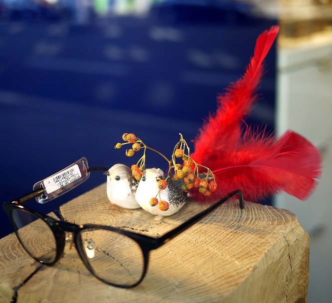 eucalyptus, bouleau, 