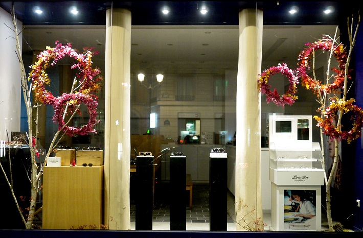 eucalyptus, bouleau, 