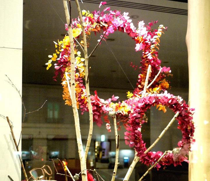 eucalyptus, bouleau, 