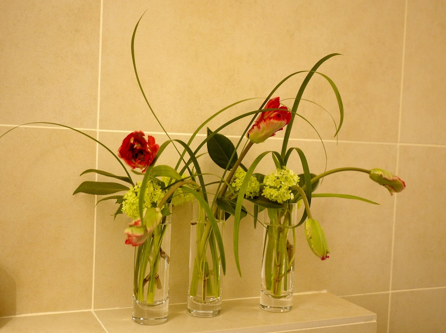  camélia, tulipe, viburnum, 