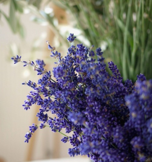 atelier floral paris