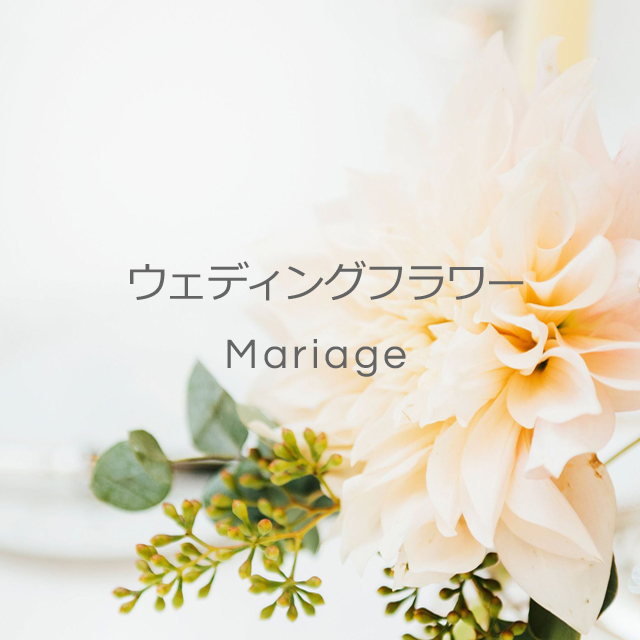 mariage-menu