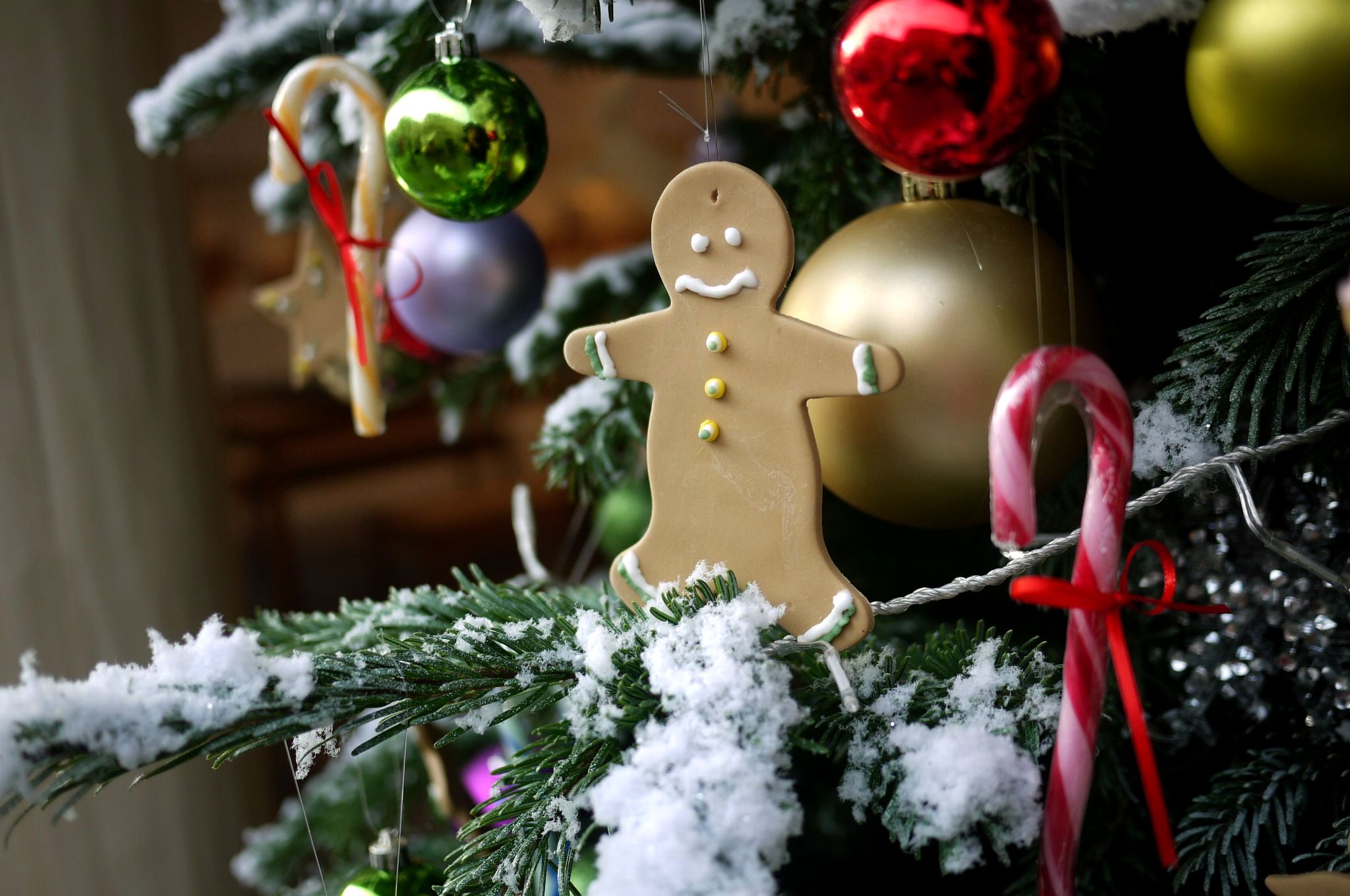 Decoration de vitrine chez PARIS MIKI