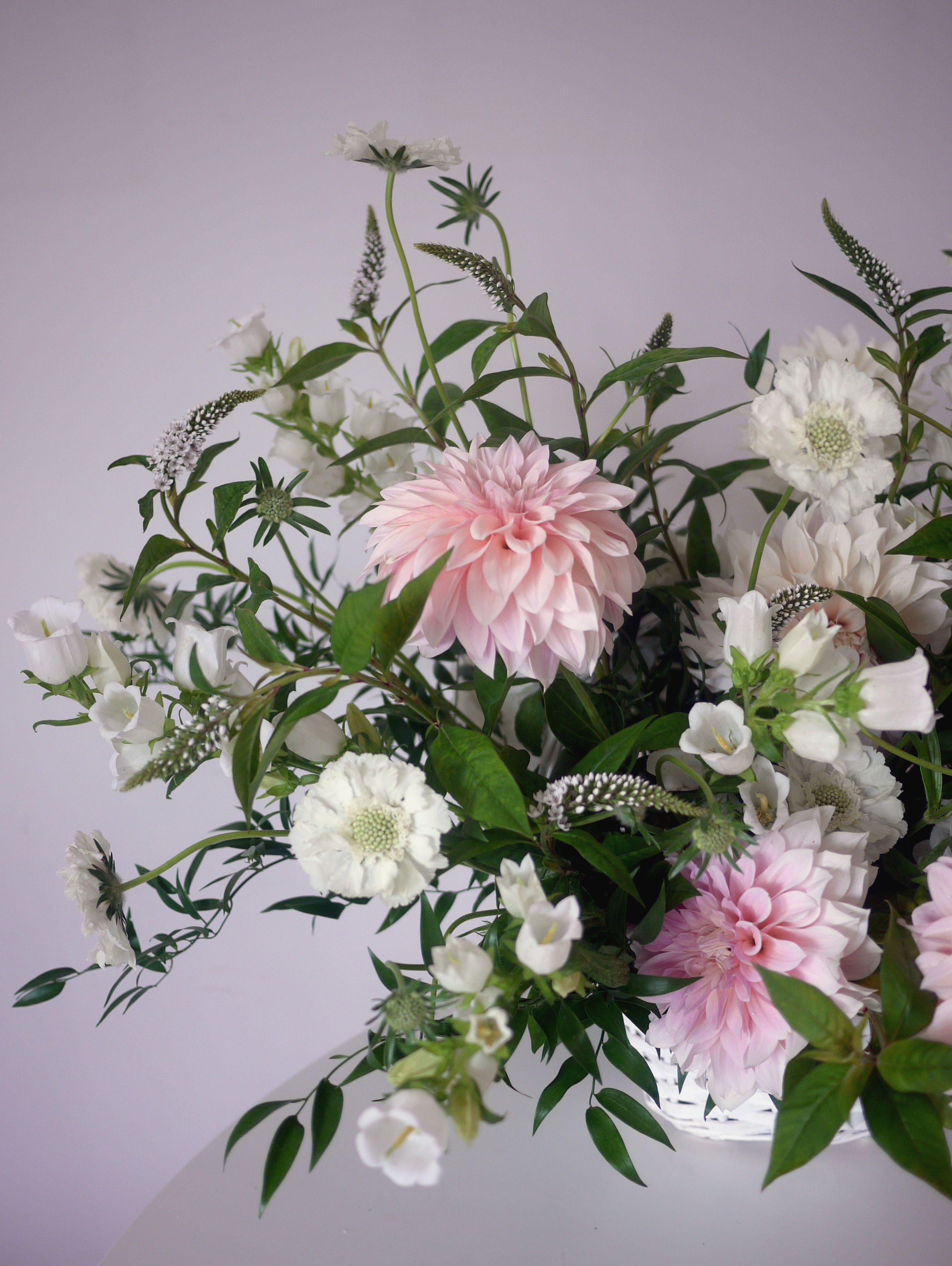 Composition avec dahlia