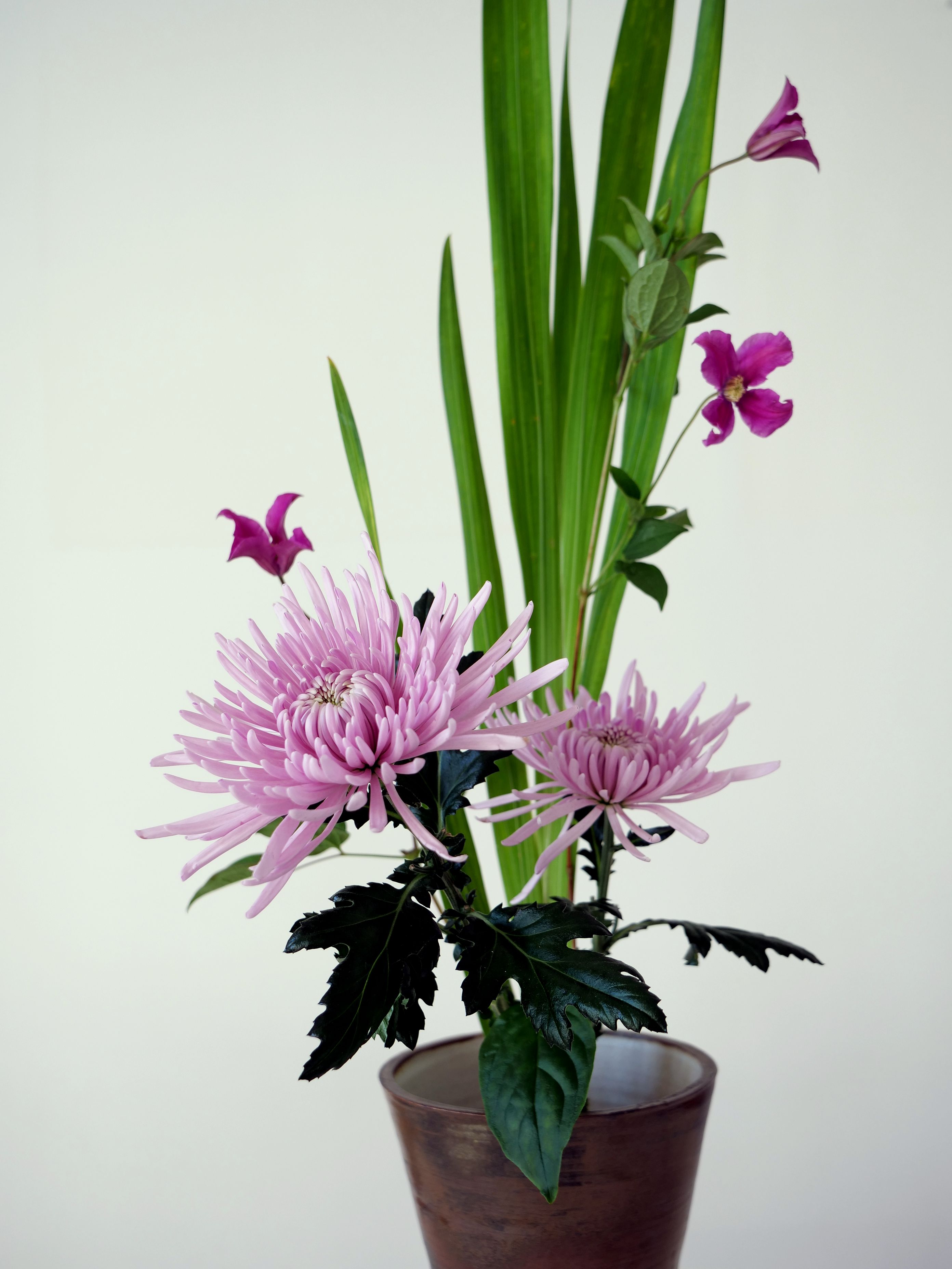 Ikebana