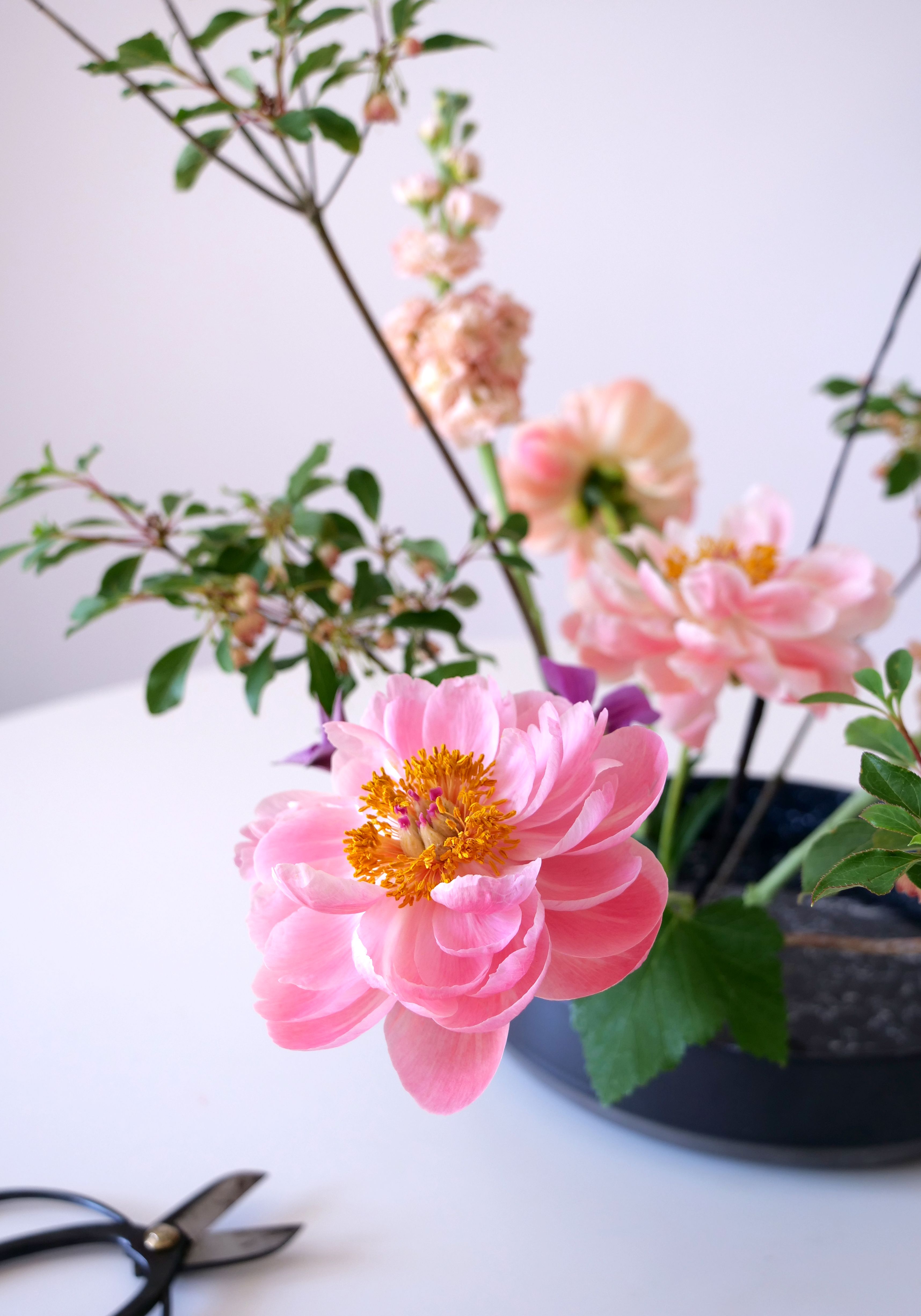 Ikabana, art floral japonais, wafuka