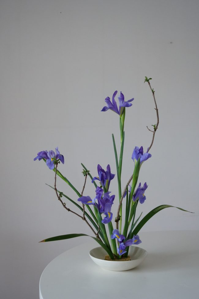 composition florale, wafuka