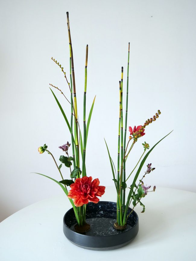ikebana, composition florale